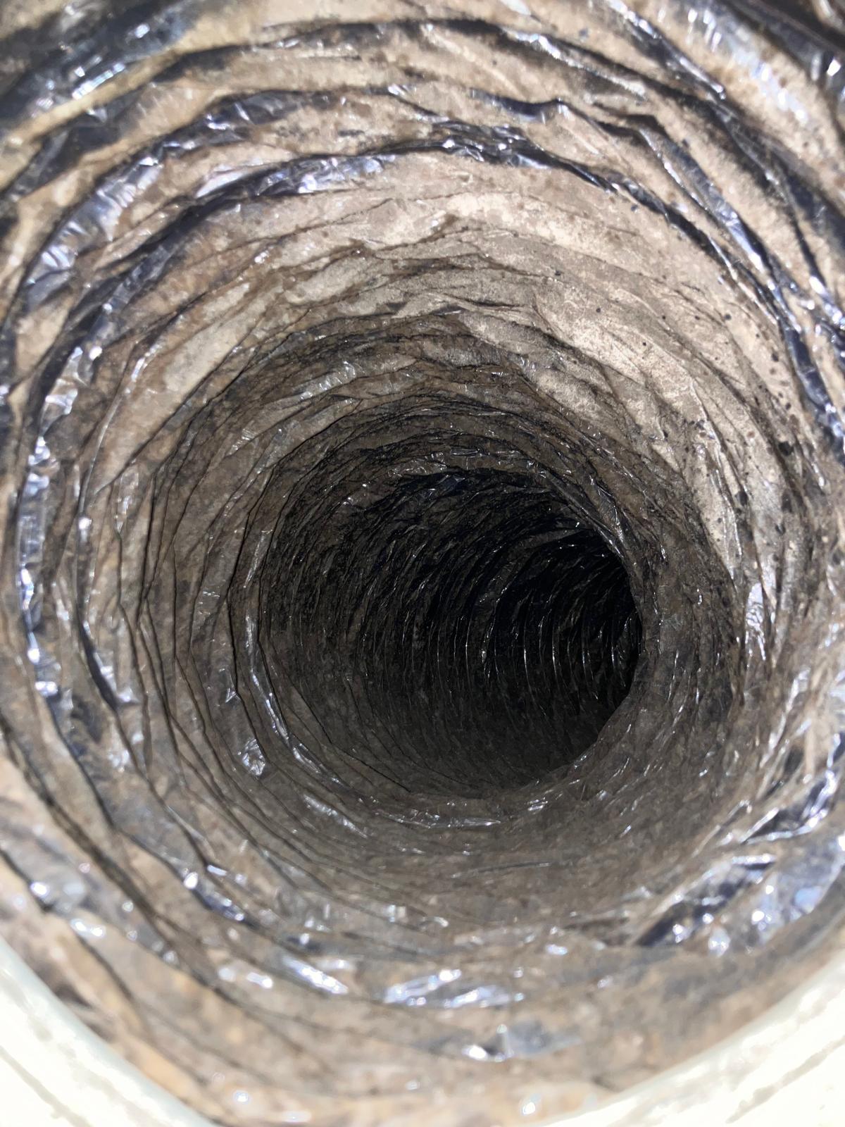 Before cleaning — mold growth visible in air duct of Frisco TX home