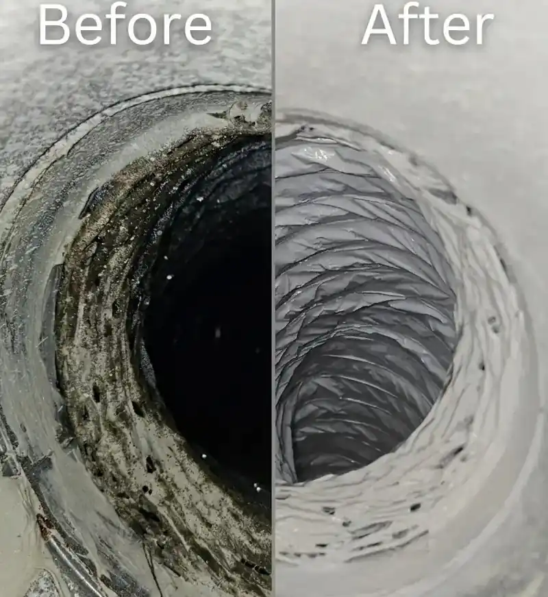 Mold before and after air duct cleaning